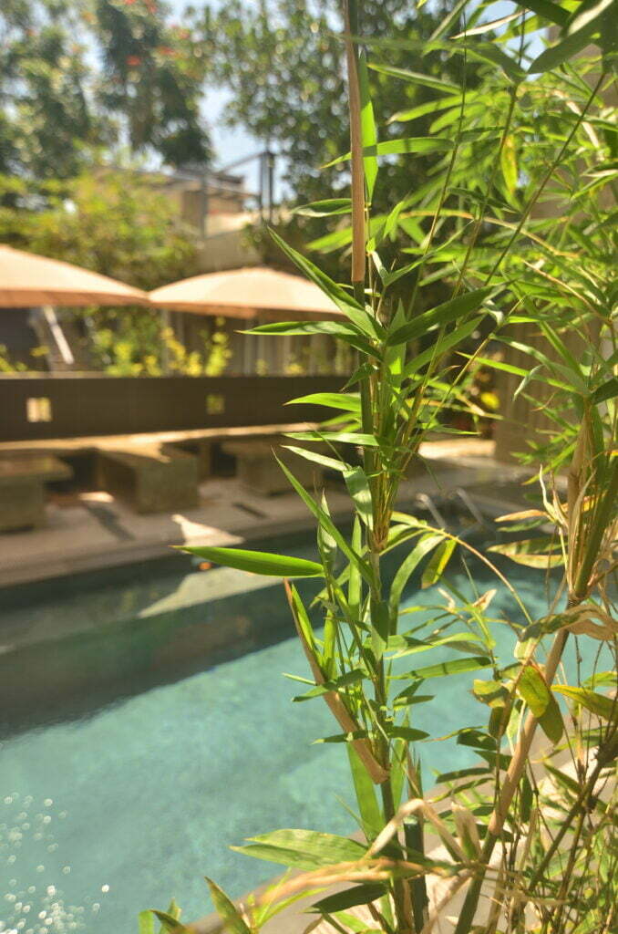 EVENTS PLACE RENTAL 2 EGD Residences, Spa & Aesthetic Medical Clinic ,Bacolod City, Negros Occidental, Philippines , swimmingpool